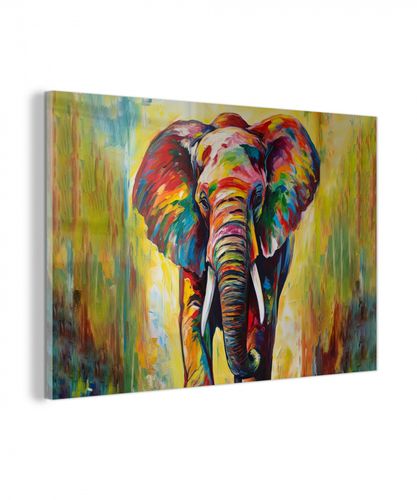 plexiglas 5mm - Olifant - Kunst - Schilderij - Dieren - Regenboog
