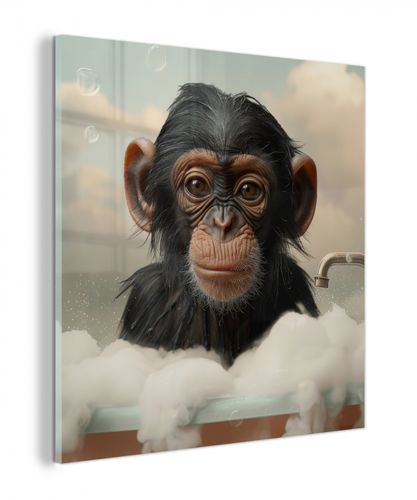 plexiglas 5mm - Aap - Dieren - Bad - Schuim