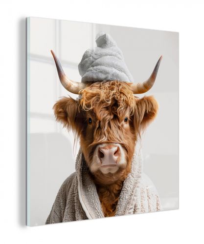 plexiglas 5mm - Schotse hooglander - Badjas - Koe - Dieren