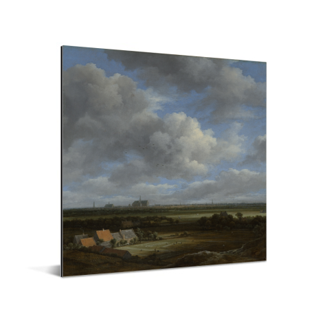 Gezicht op Haarlem uit het noordwesten - Schilderij van Jacob van Ruisdael Aluminium