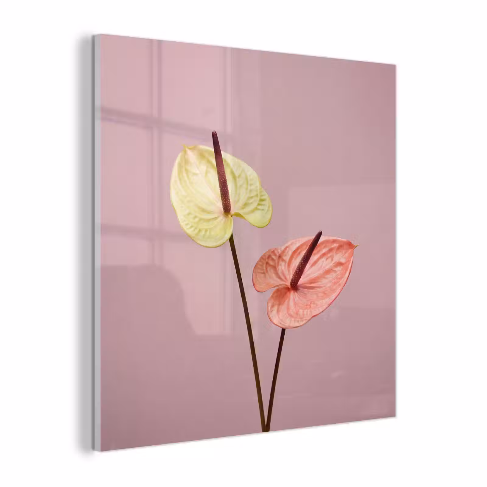 Glas schilderij - Bloemen - Anthuriums - Geel - Roze — 1