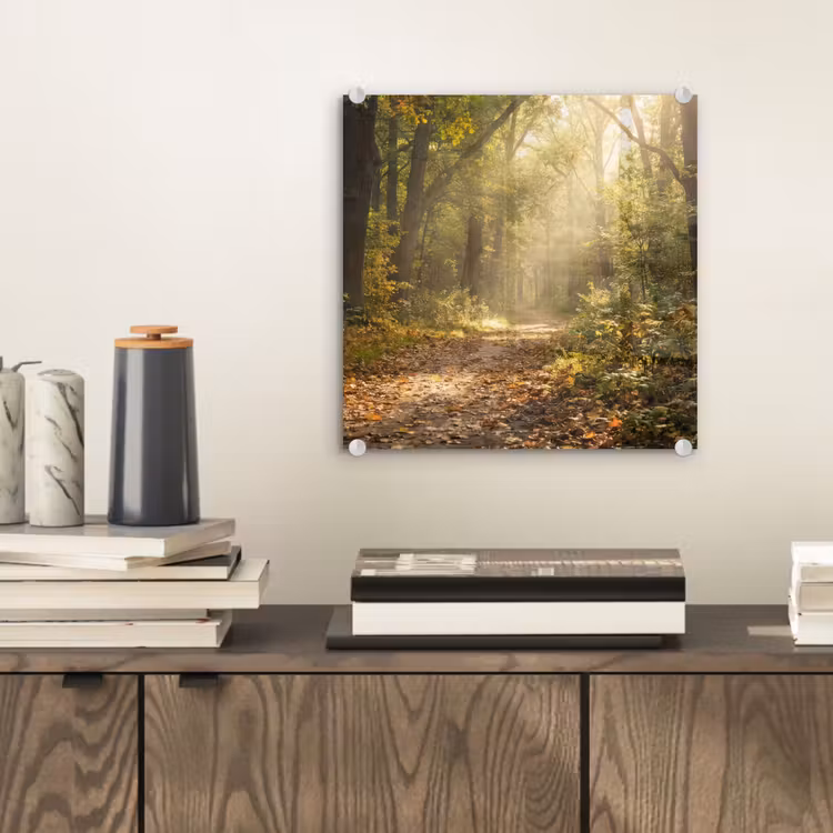 Glas schilderij - Zonlicht - Bospad - Bomen — 2