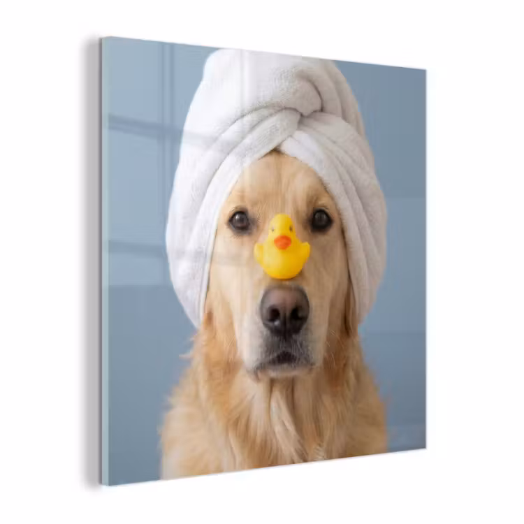 Glas schilderij - Hond - Badeend - Geel — 1