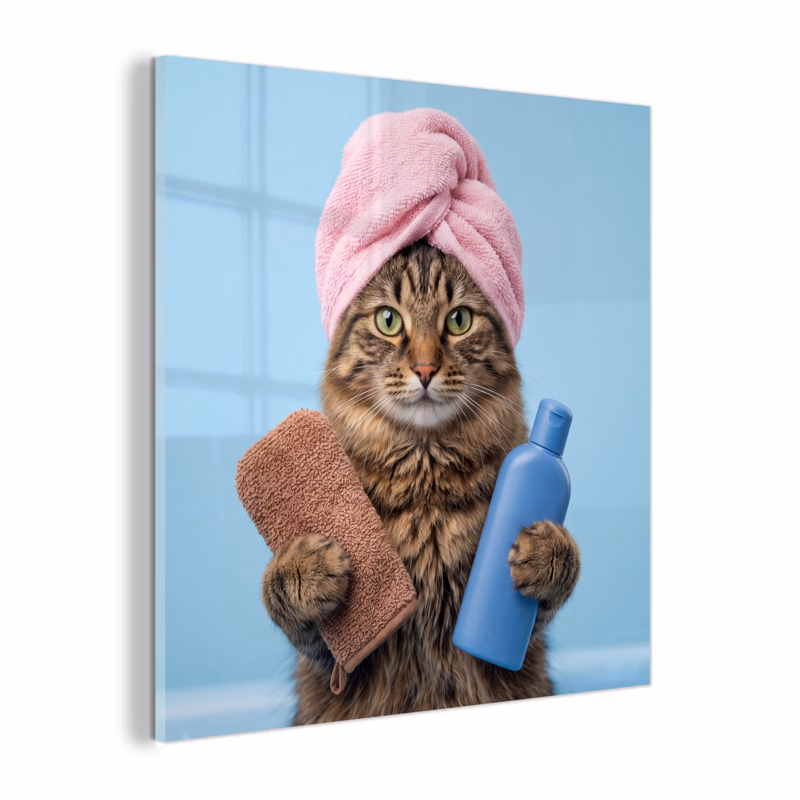 Glas schilderij - Kat - Handdoek - Washand - Zeep — 1