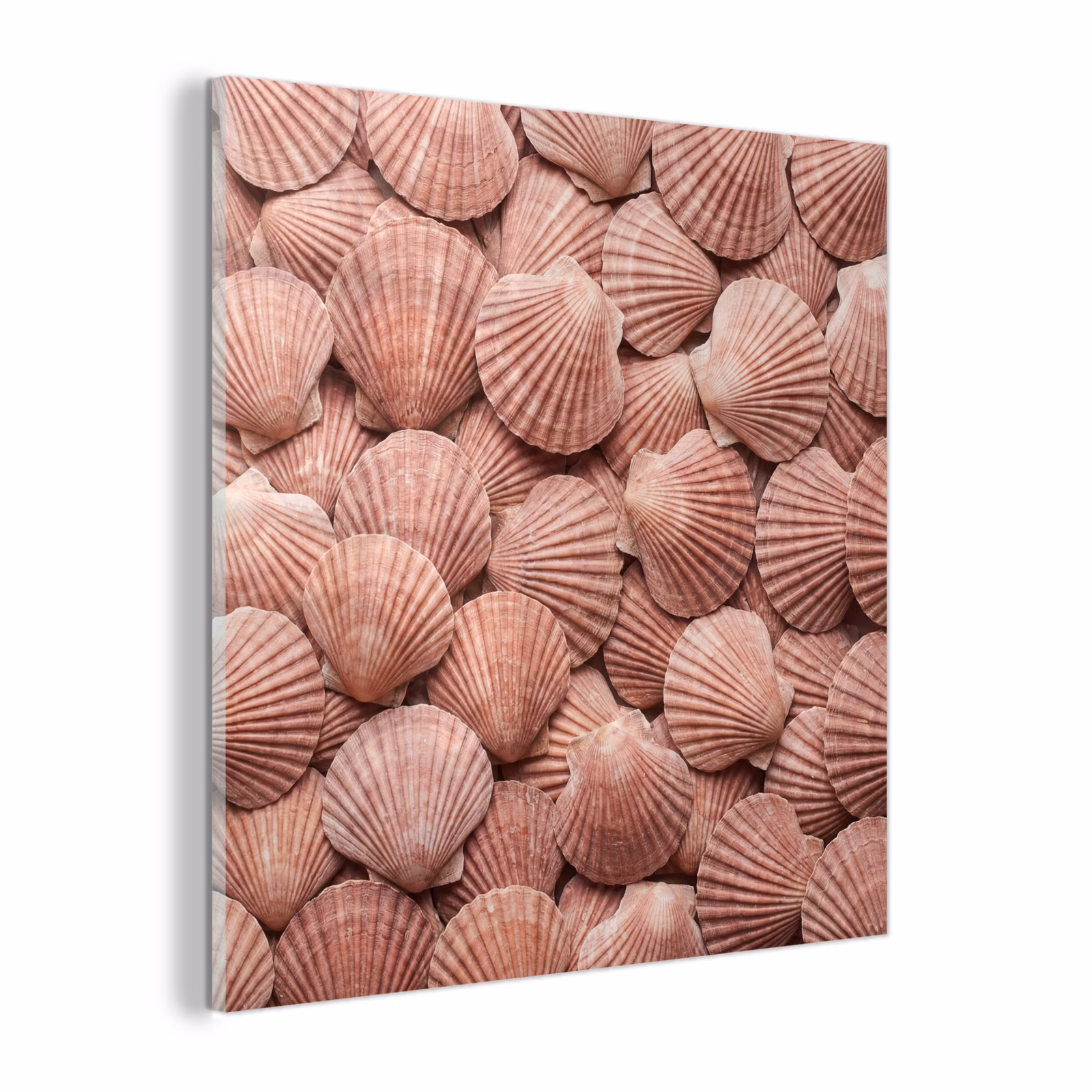 Glas schilderij - Schelpen - Patroon - Roze — 1