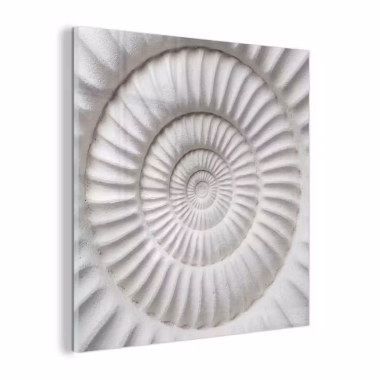 Glas schilderij - Schelp - Spiraal - Wit — 1