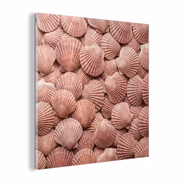 Glas schilderij - Schelpen - Patroon - Roze — 1