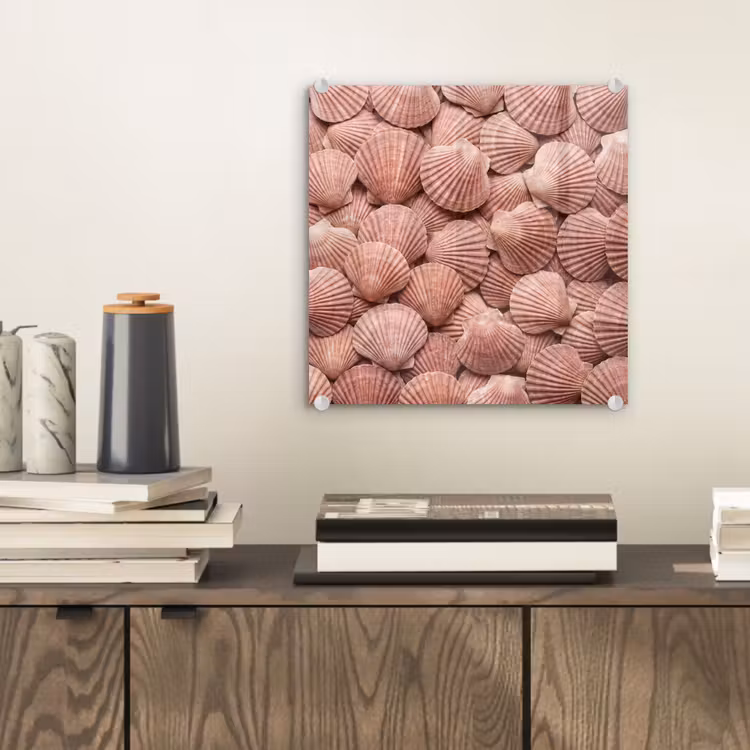 Glas schilderij - Schelpen - Patroon - Roze — 2