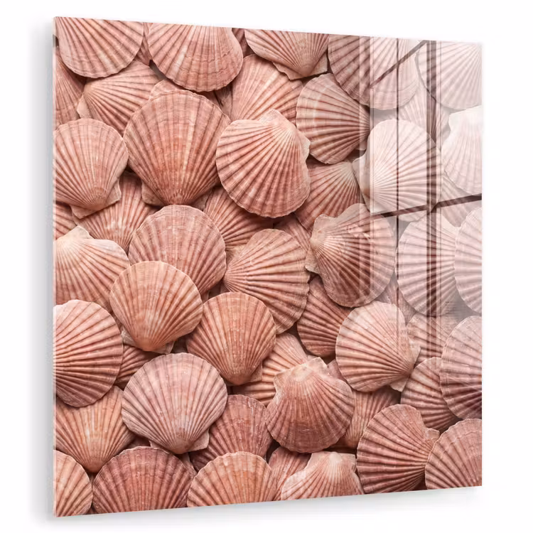 Glas schilderij - Schelpen - Patroon - Roze — 3