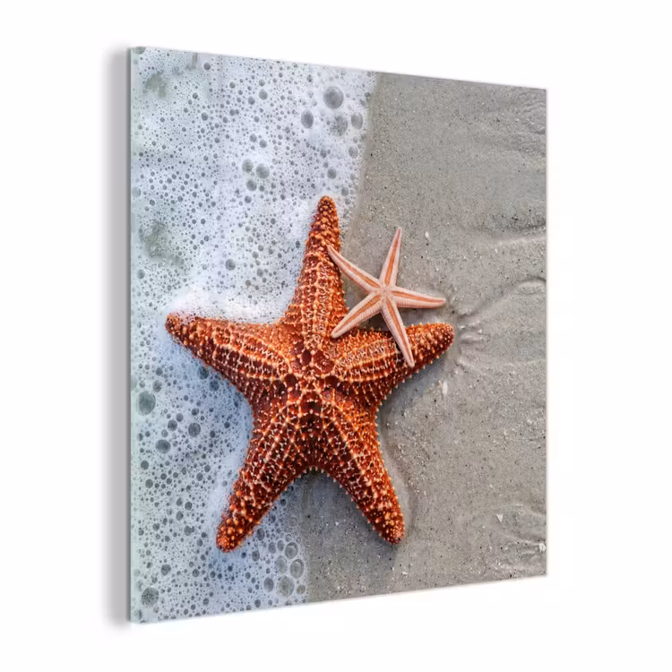 Glas schilderij - Zeester - Strand - Zee — 1