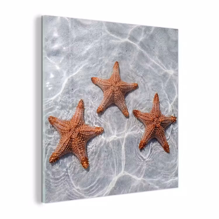 Glas schilderij - Zeesterren - Water - Helder — 1