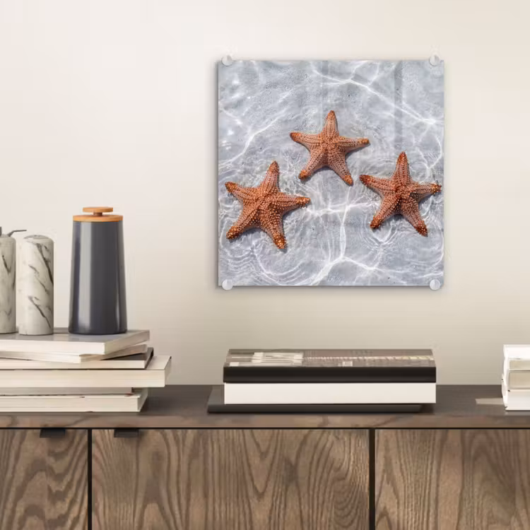 Glas schilderij - Zeesterren - Water - Helder — 2