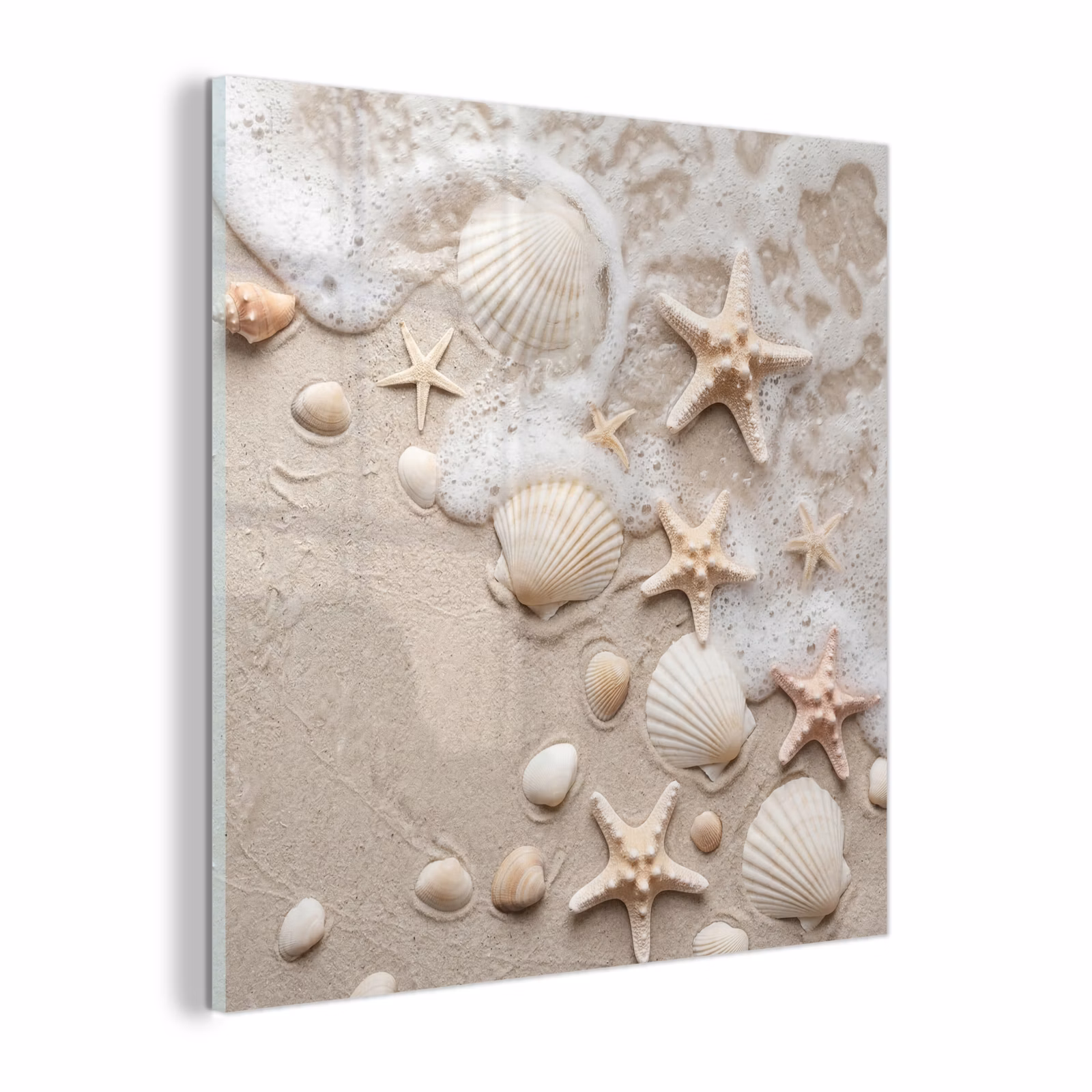 Glas schilderij - Schelpen - Zeesterren - Strand — 1