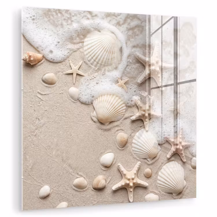 Glas schilderij - Schelpen - Zeesterren - Strand — 3