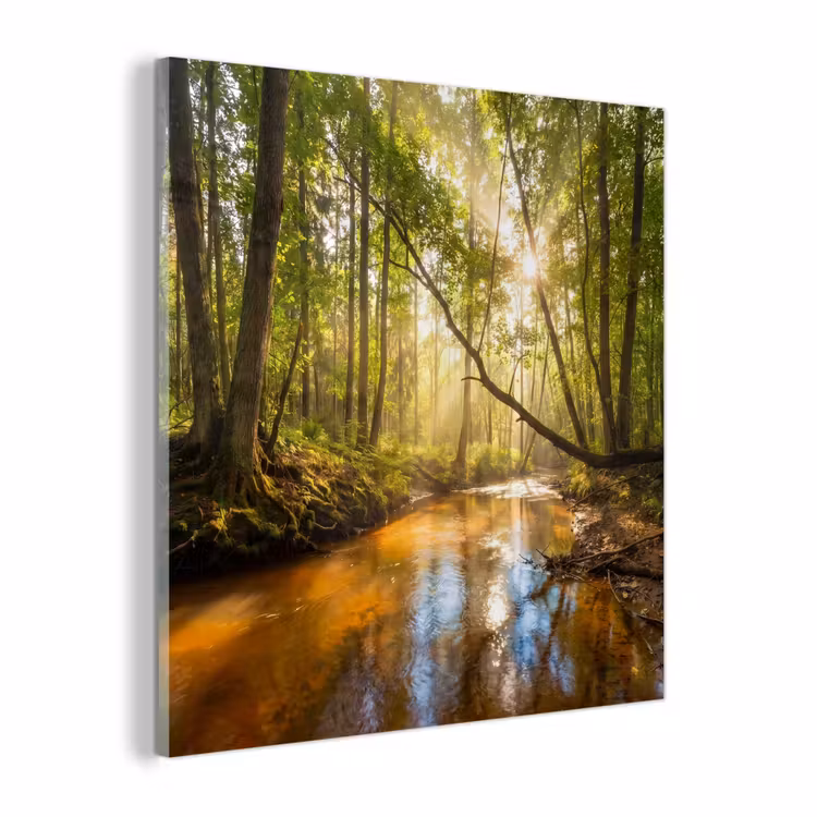 Glas schilderij - Bos - Beek - Zonlicht - Natuur - Groen — 1