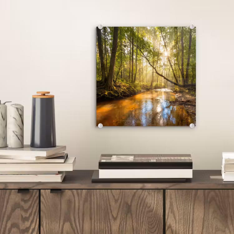 Glas schilderij - Bos - Beek - Zonlicht - Natuur - Groen — 2