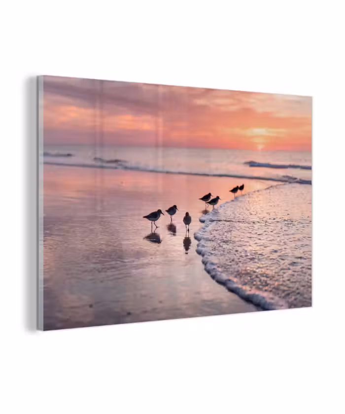 Glas schilderij - Meeuwen - Strand - Zee - Roze