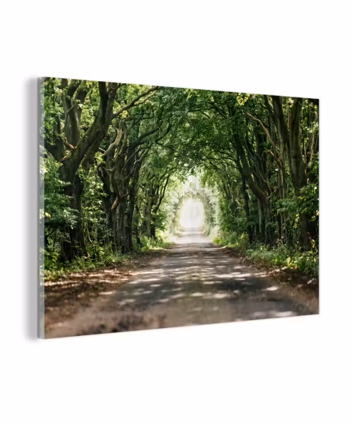 Glas schilderij - Weg - Bomen - Natuur - Groen