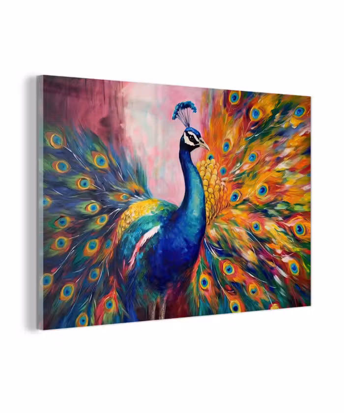 Glas schilderij - Pauw - Dieren - Schilderij - Regenboog