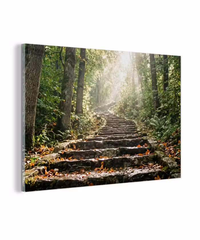 Glas schilderij - Stenen - Trap - Bos - Natuur