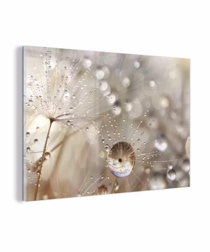 Glas schilderij - Natuur - Bloemen - Druppels - Regen